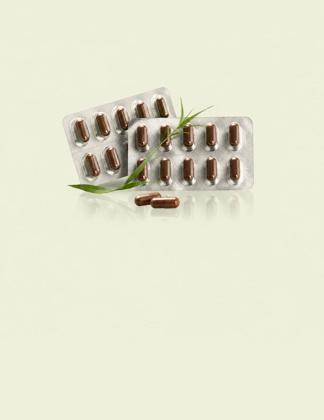 SUPPLEMENTS-PRIORIN2