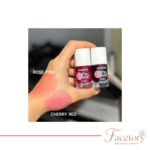 تینت لب و گونه گابرینی GABRINI Tint Lip To Cheek - تصویر 2
