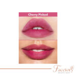 تینت لب و گونه شیگلم مدل For The Flush Lip & Cheek Tint حجم ۶ میلی‌لیتر - تصویر 5
